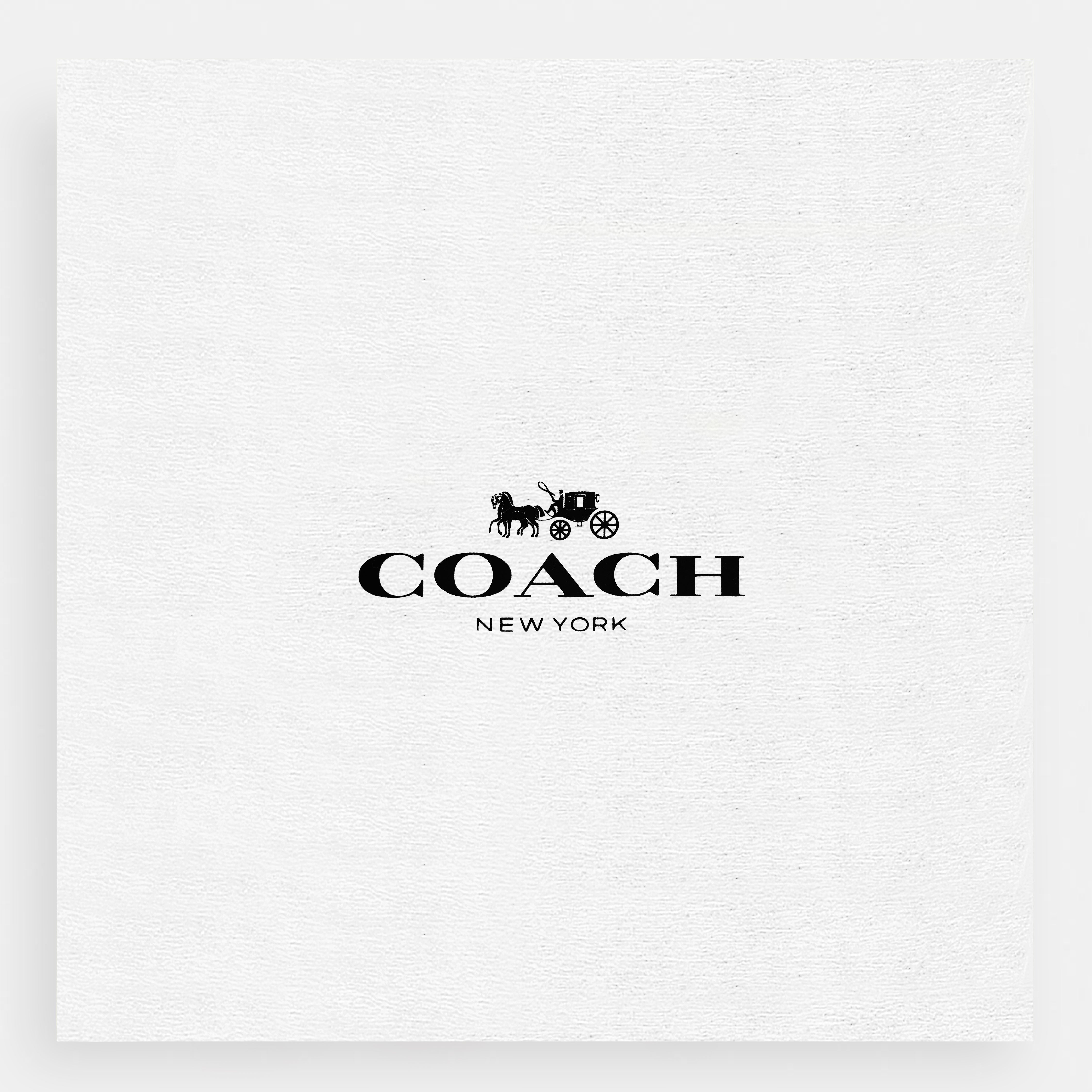 Madison Grace Shoulder & Sling Bag – Coach Inspired