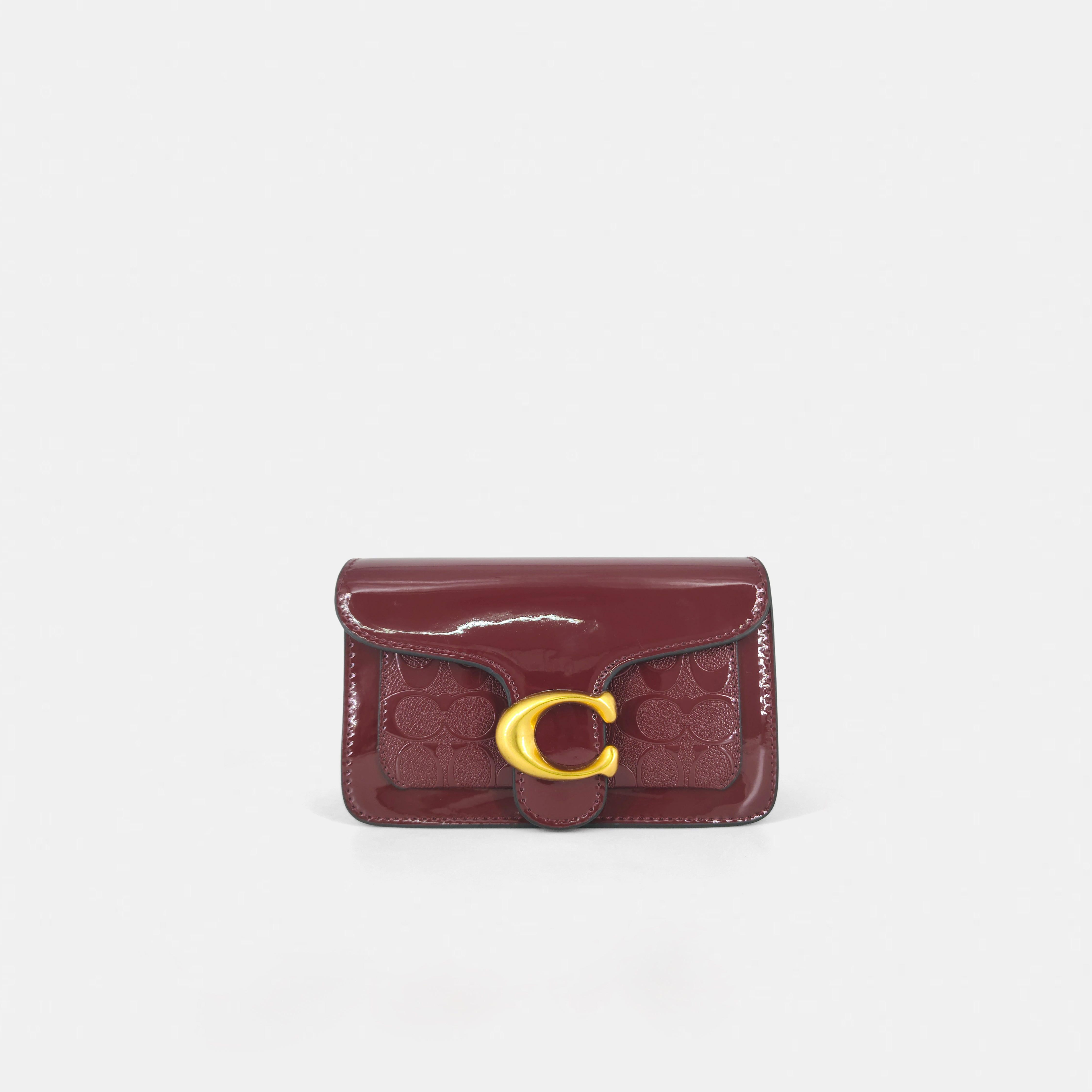 Coach-Inspired Shoulder & Sling Bag
