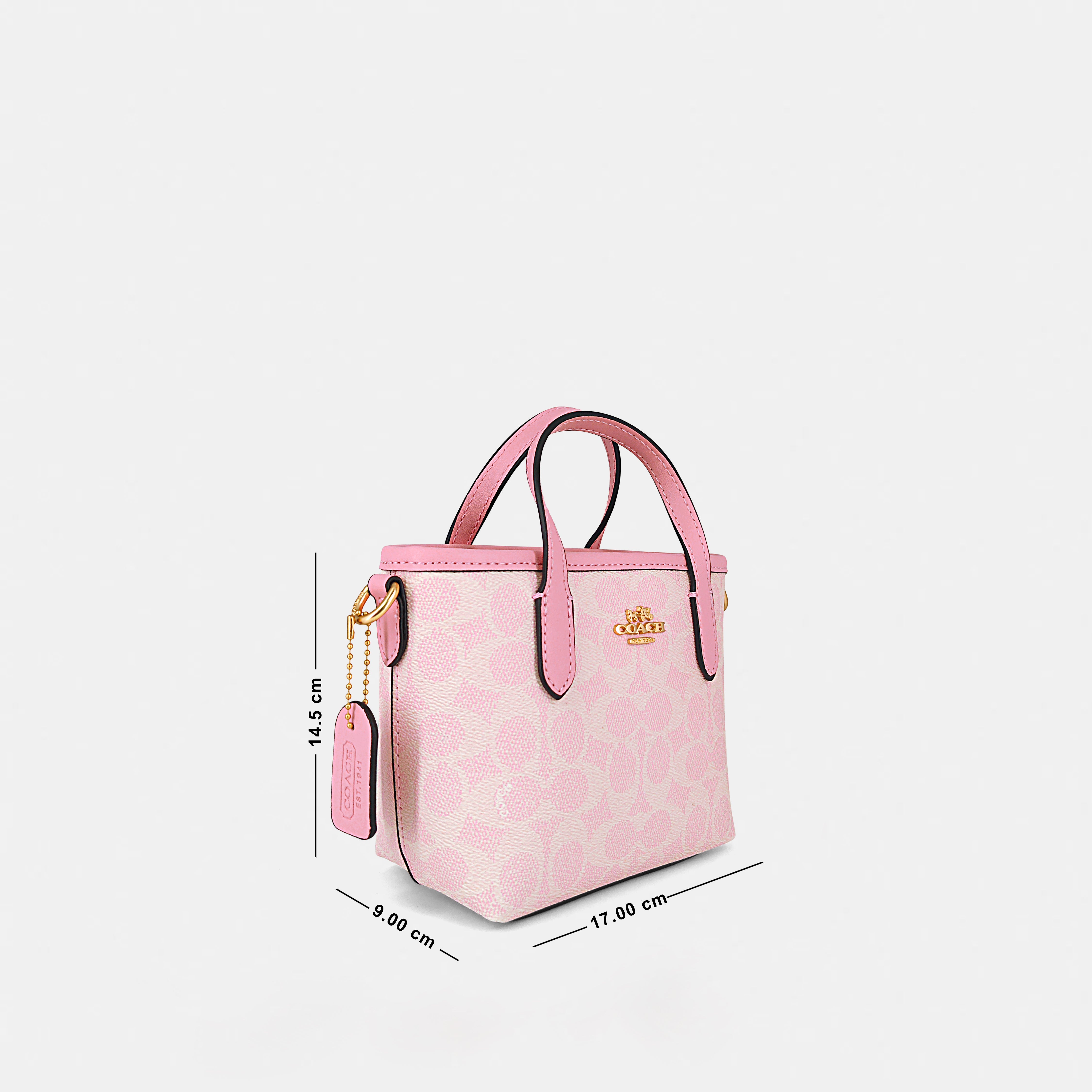 Coach-Inspired Mini Structured Handbag