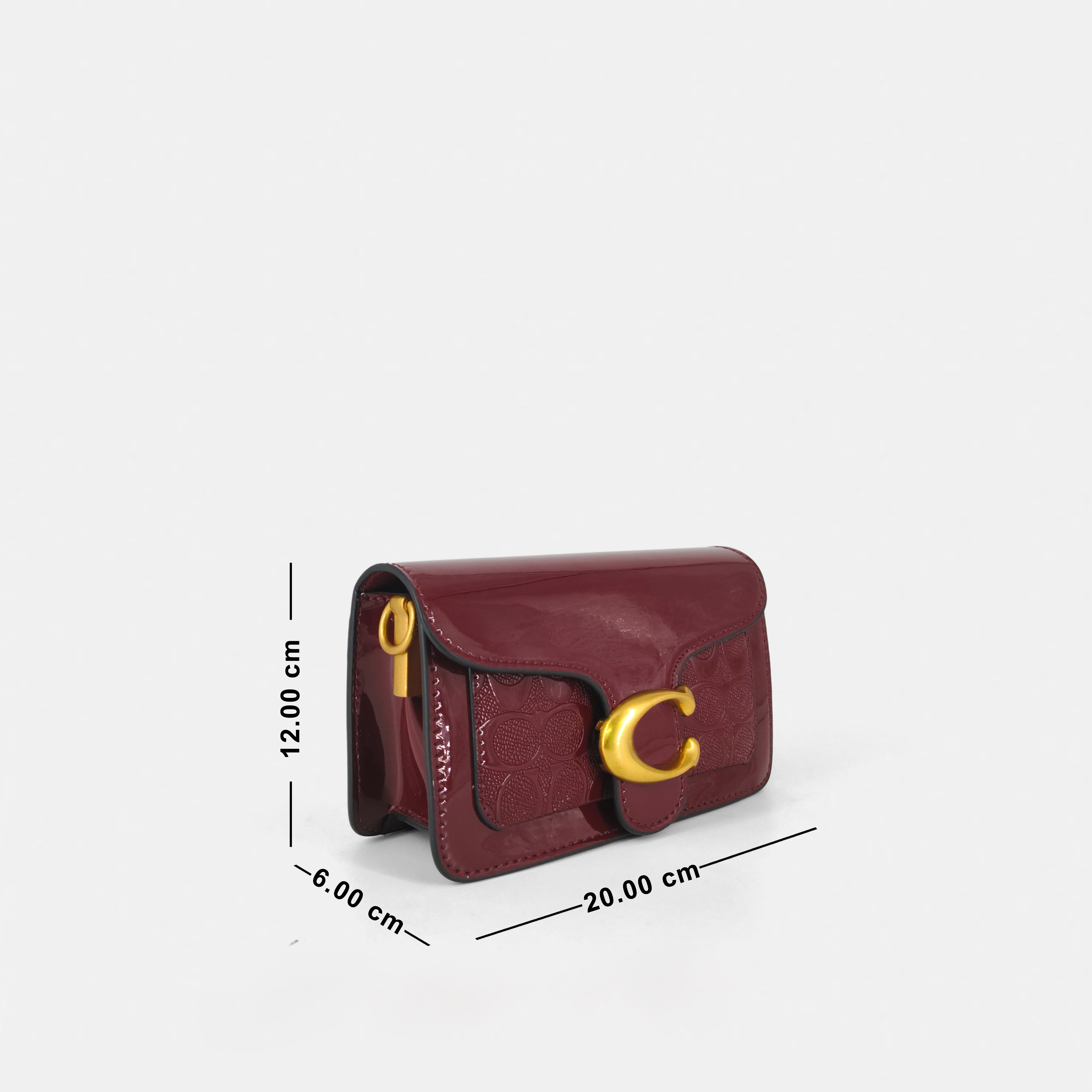 Coach-Inspired Shoulder & Sling Bag