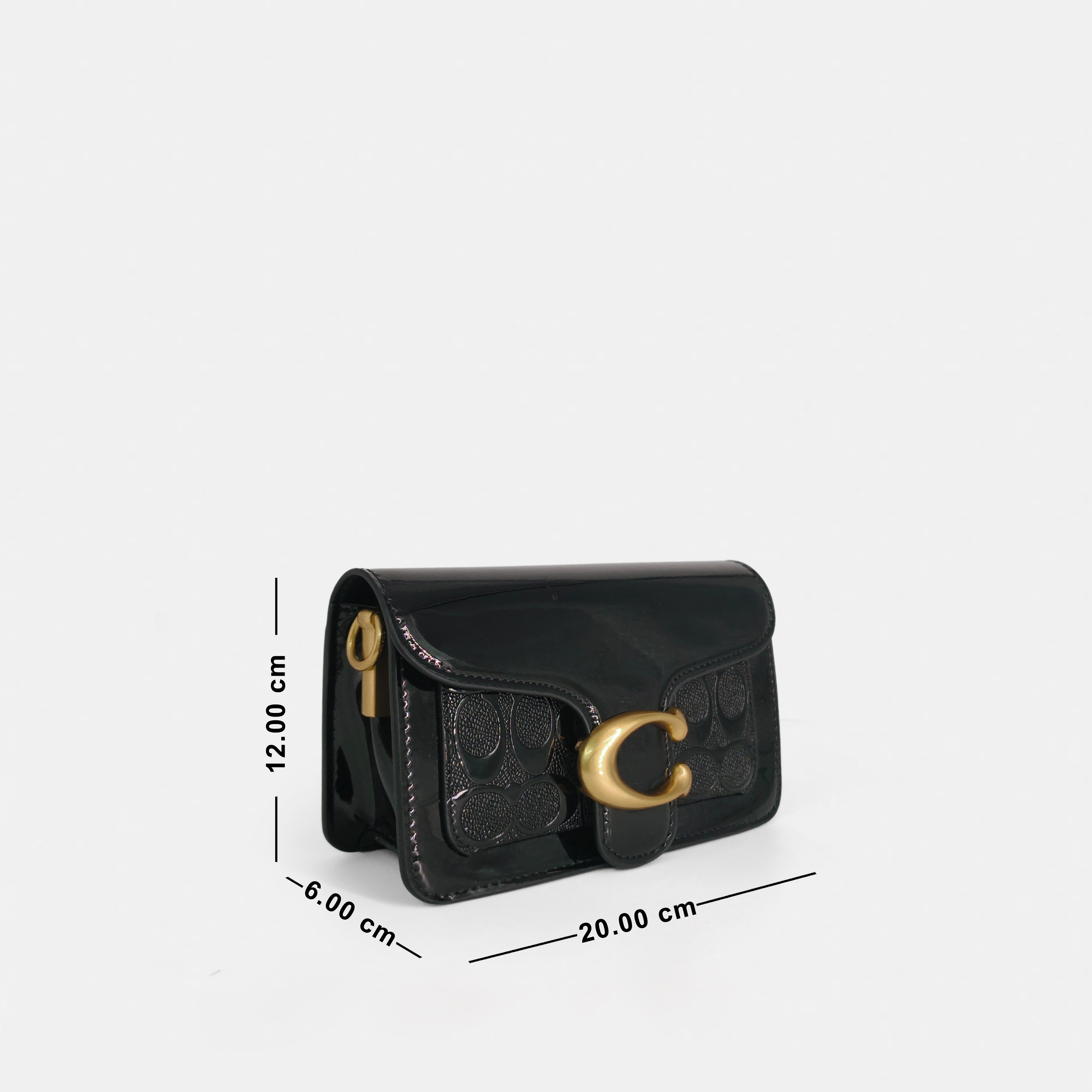 Coach-Inspired Shoulder & Sling Bag