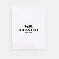 Coach-Inspired Signature Sling Bag
