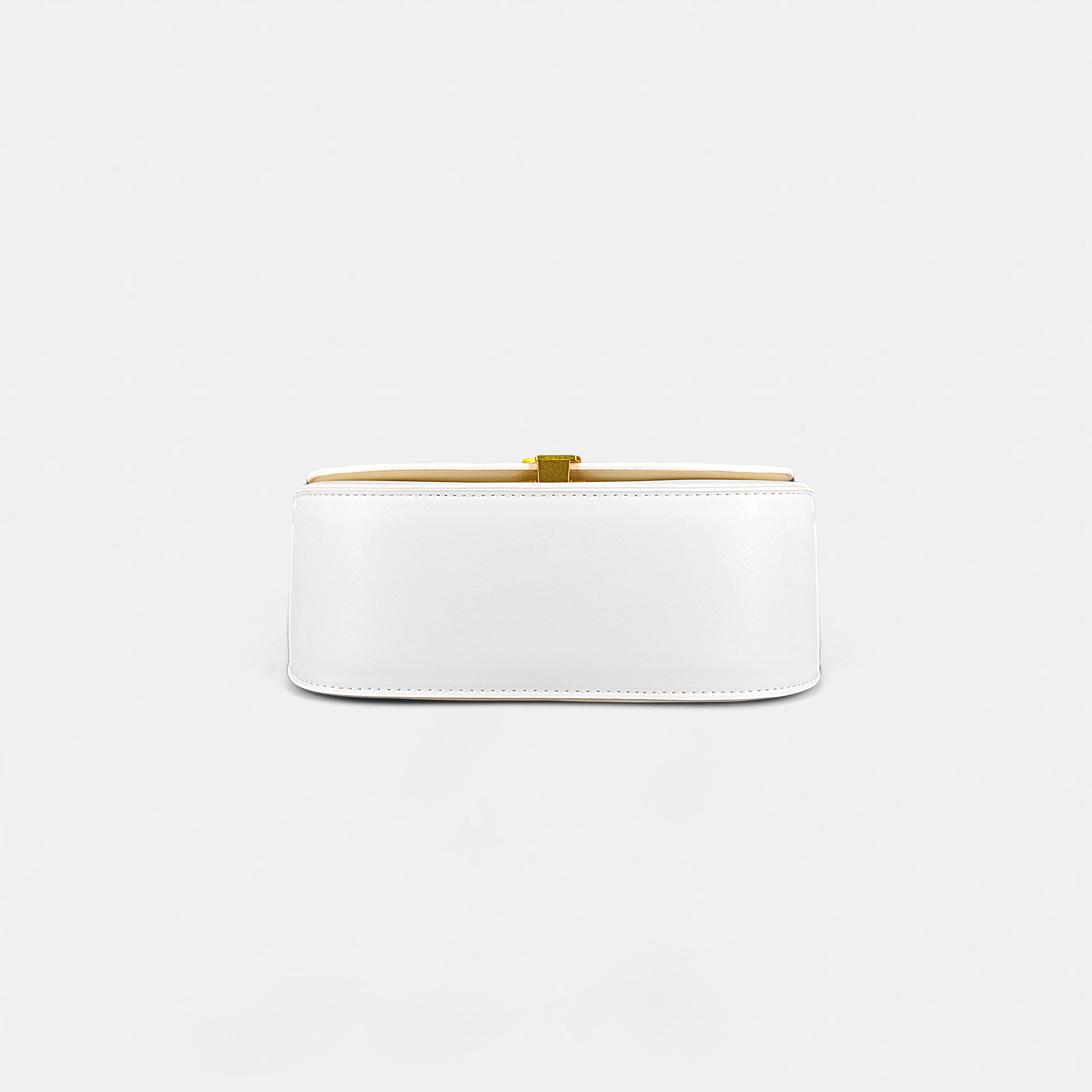 YSL Hand & Sling Bag