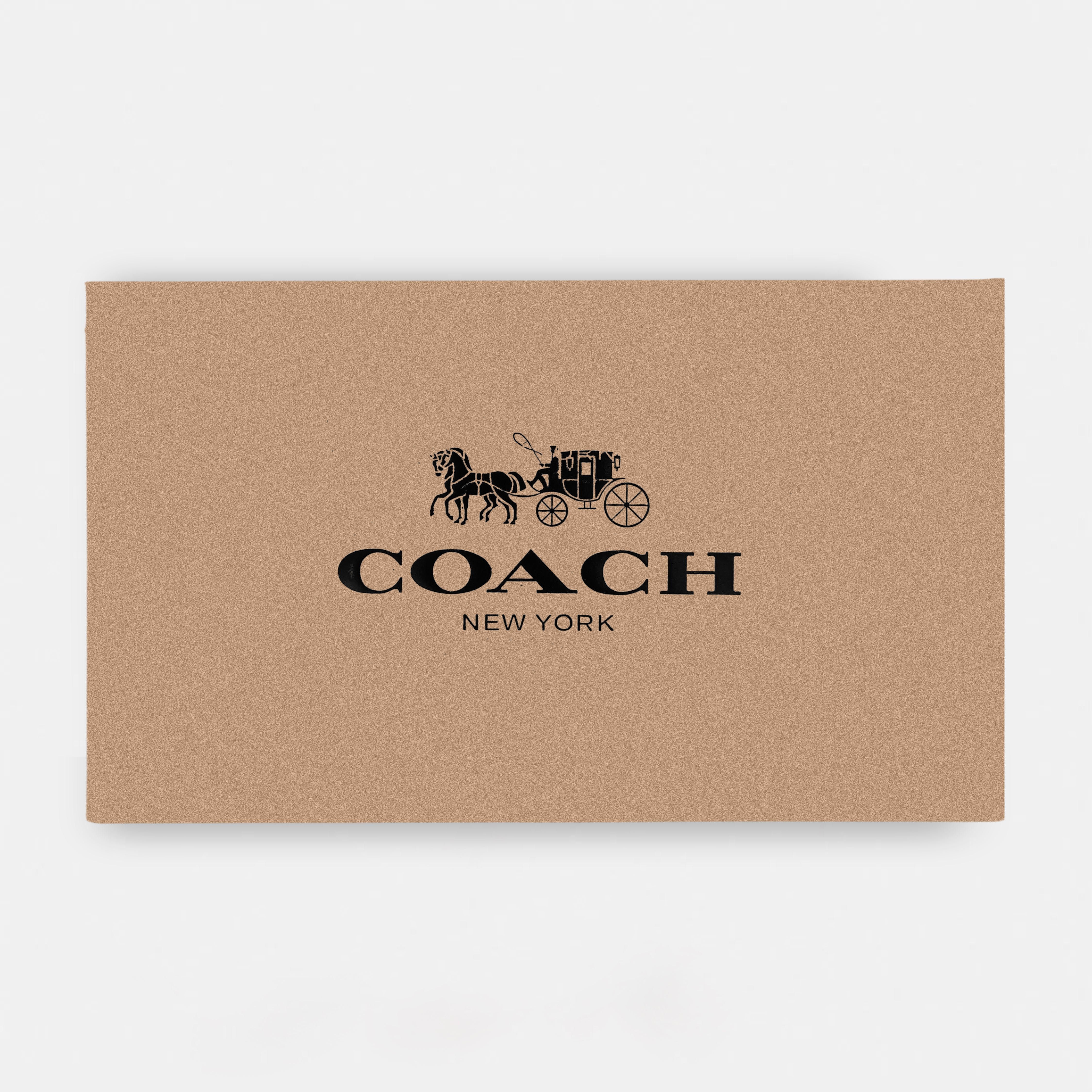 CLUTCH -C - INSPIRED HAND CLUTCH