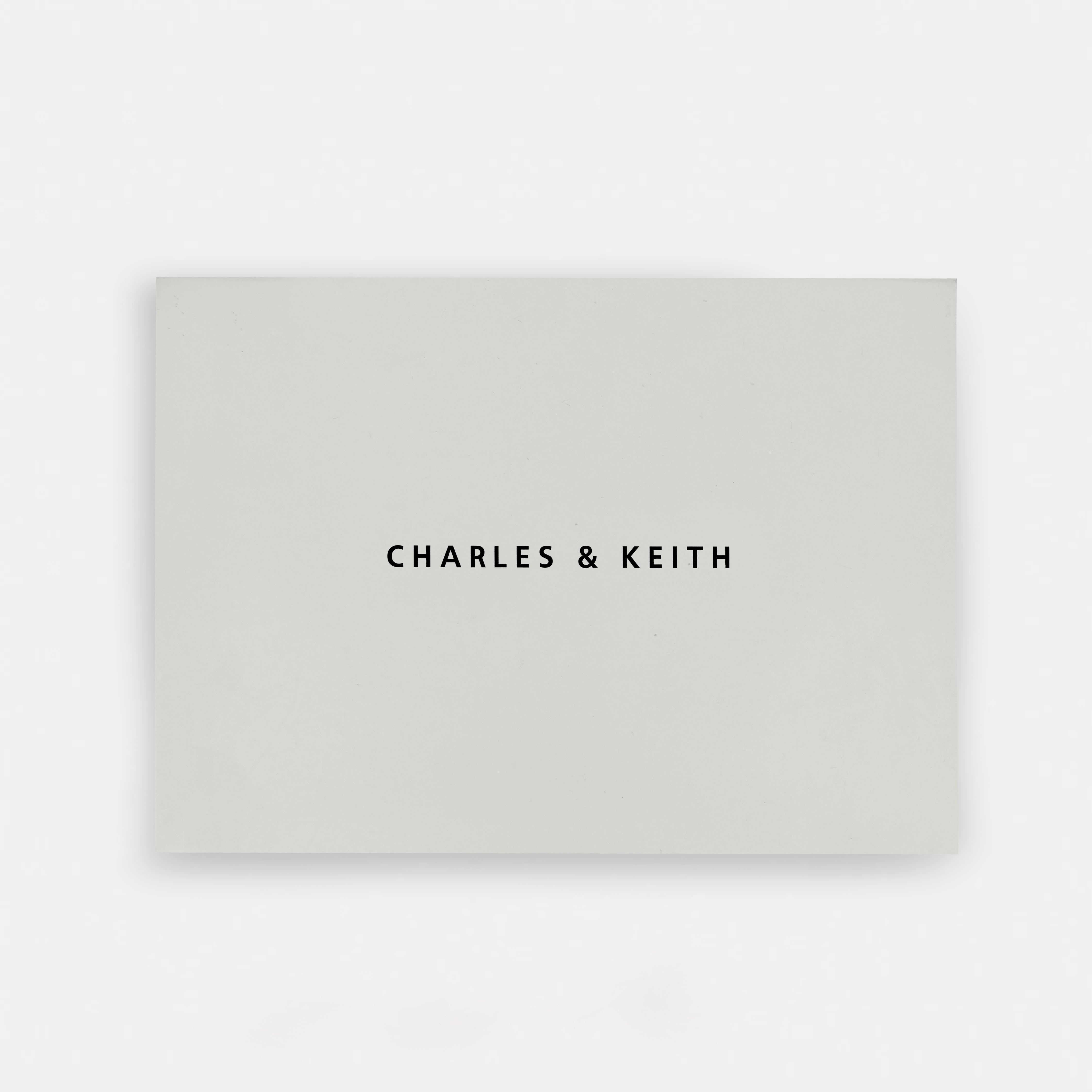 Charles & Keith Inspired Shoulder & Sling Bag