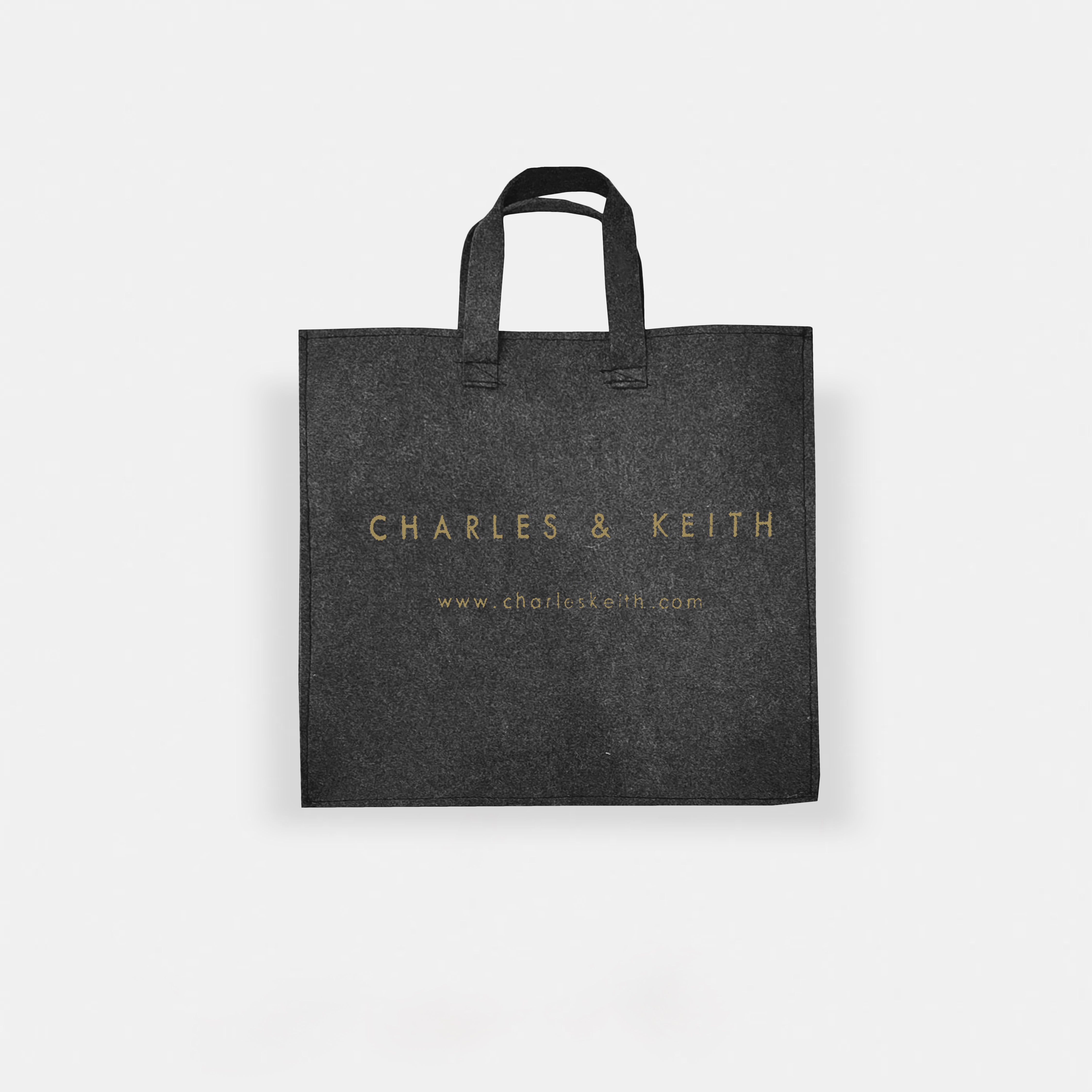 Charles & Keith Inspired Shoulder & Sling Bag