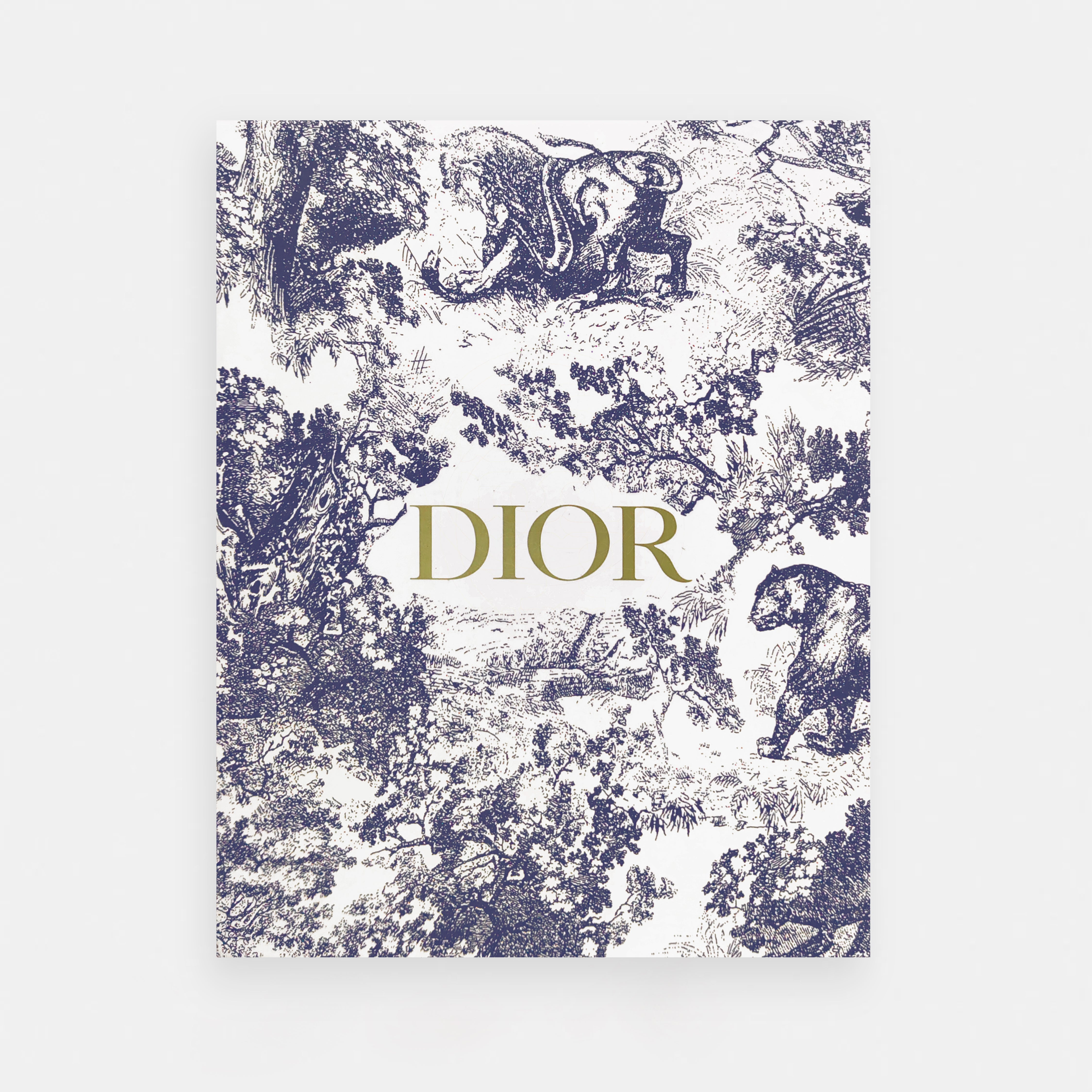 Dior inspired Saddle Bag