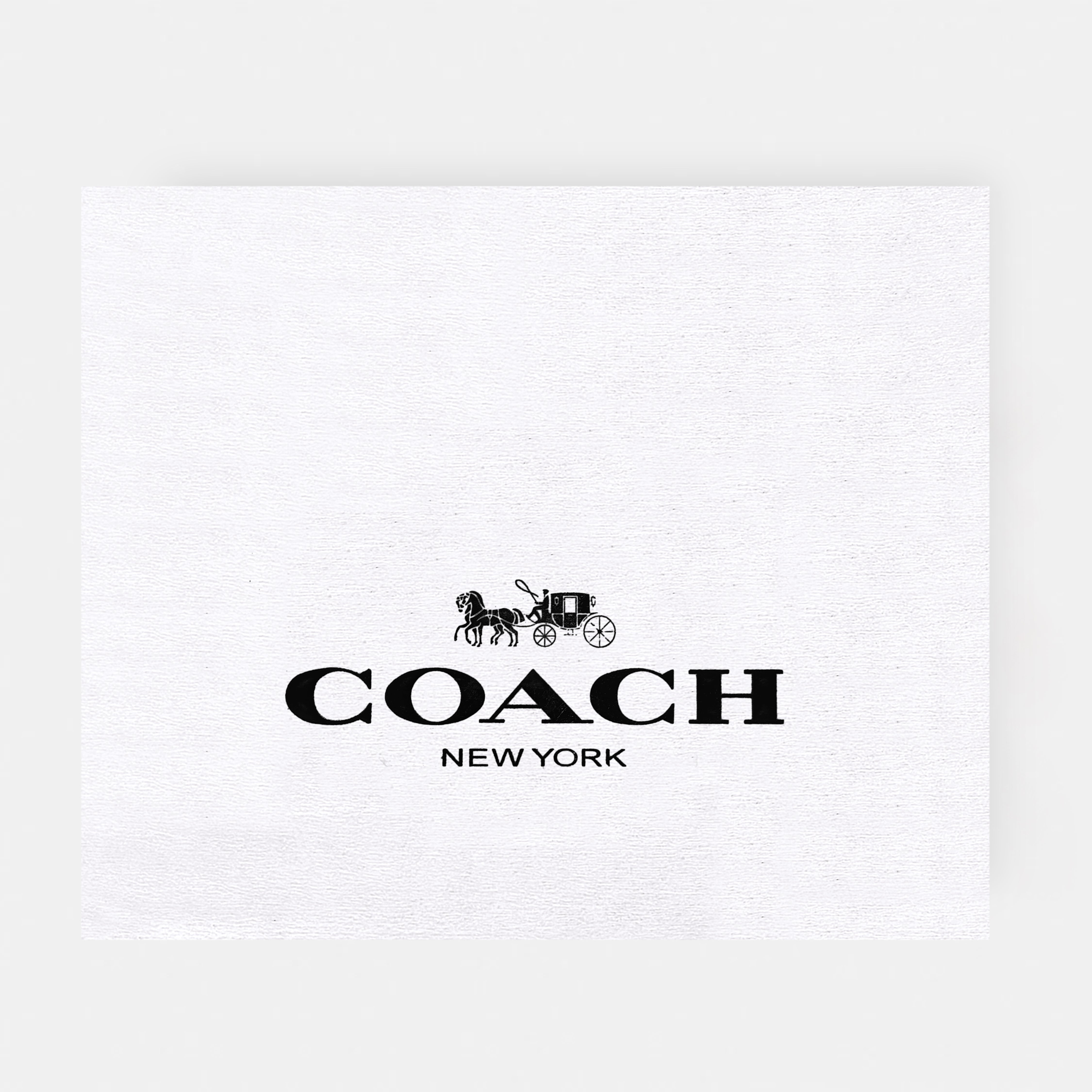 Coach-Inspired Shoulder & Sling Bag