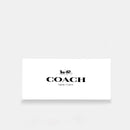 COACH SOULDER & SLING bag