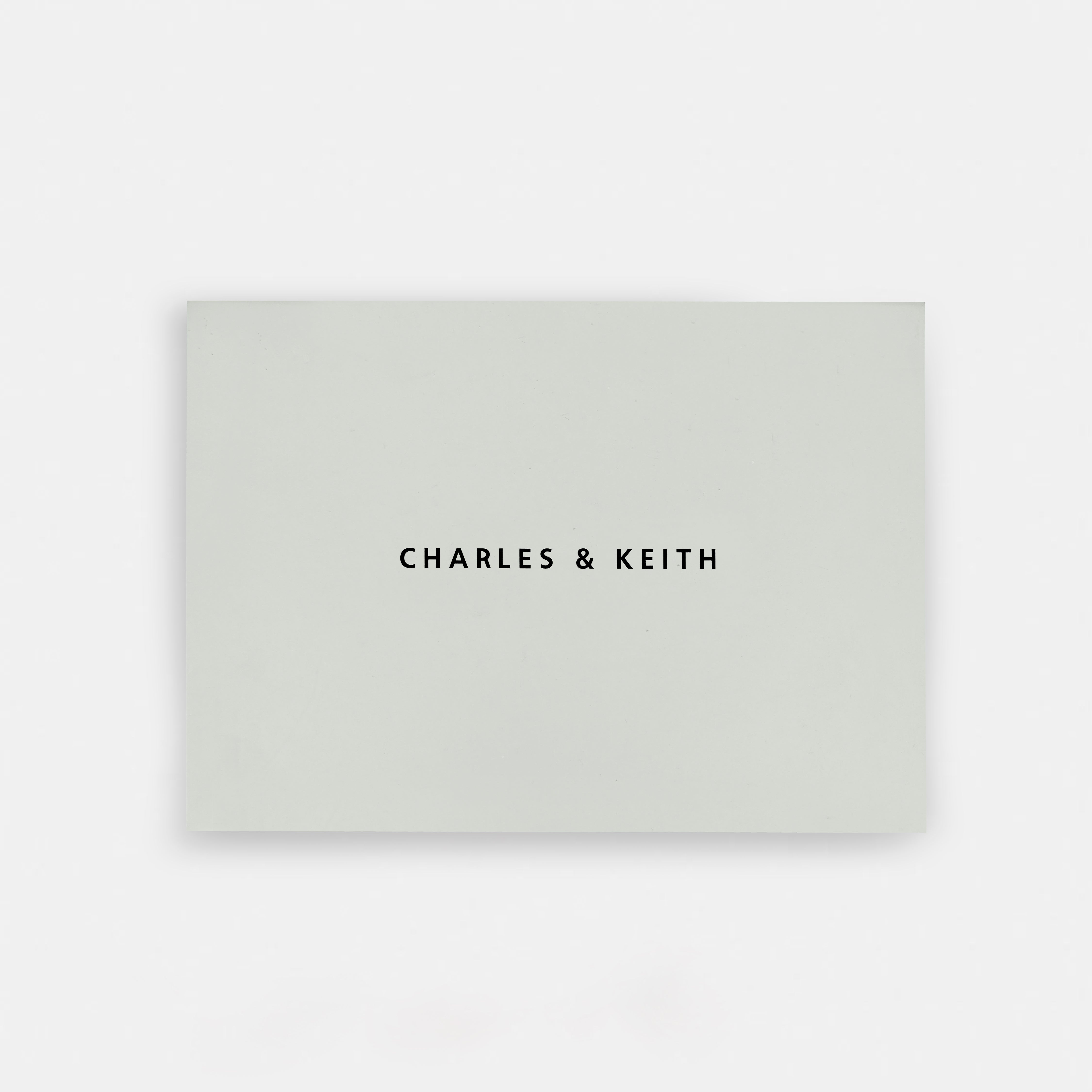 Charles & Keith Inspired Shoulder & Sling Bag