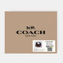 Coach-inspired mini shoulder bag