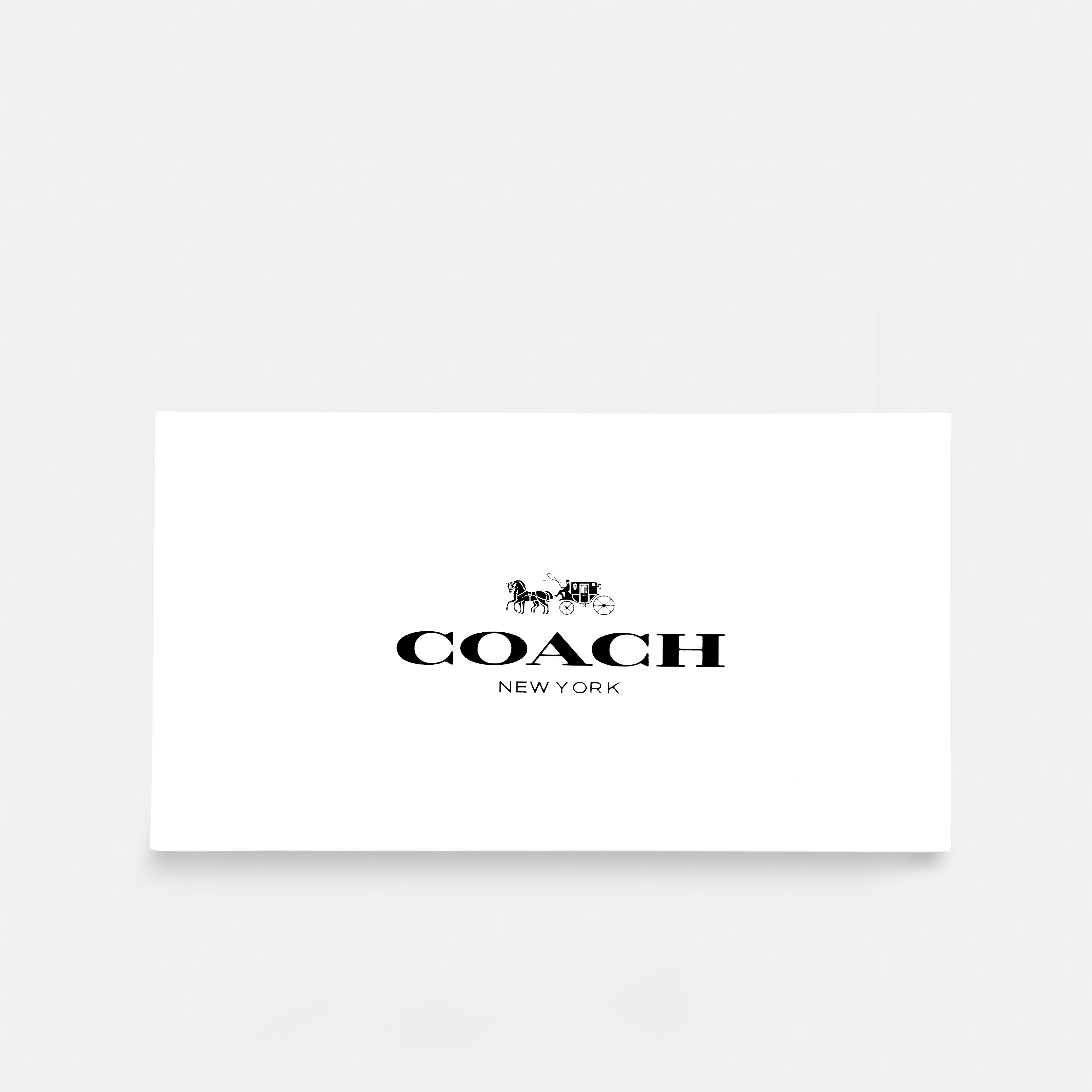 Coach-inspired sling bag