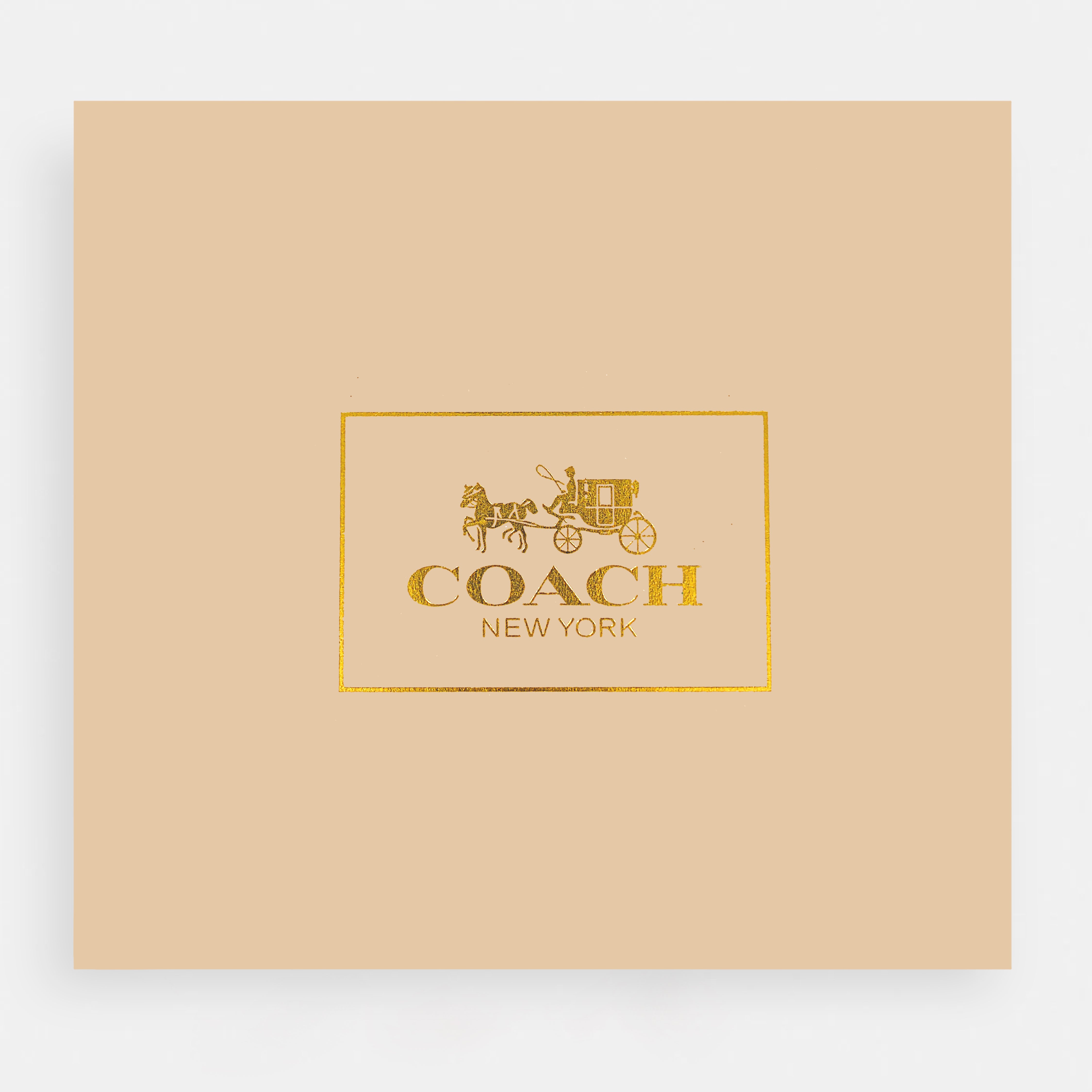 Coach-Inspired Mini Shoulder Bag