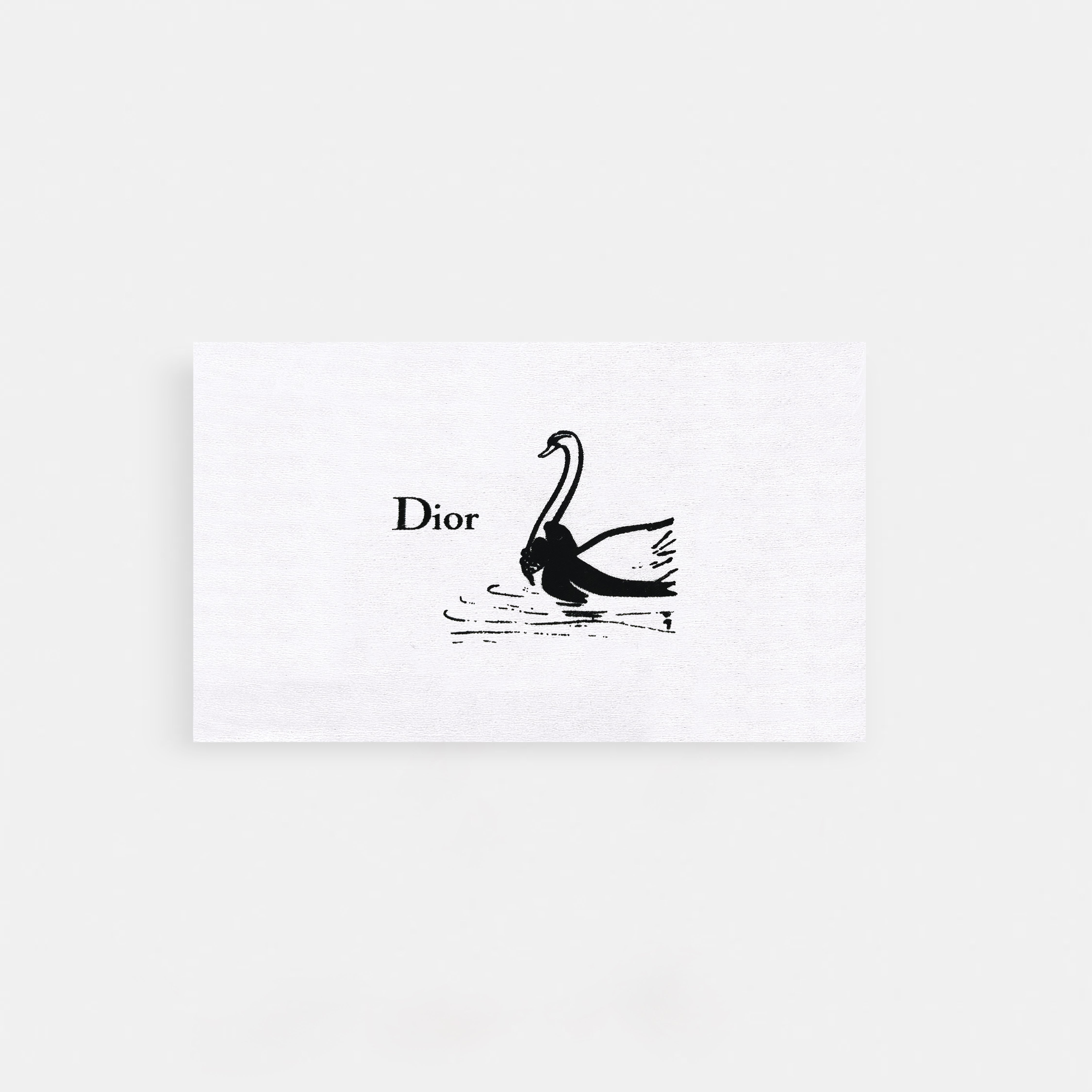 Dior inspired Shoulder & Sling Bag