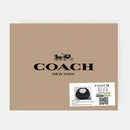 Coach-inspired mini shoulder bag