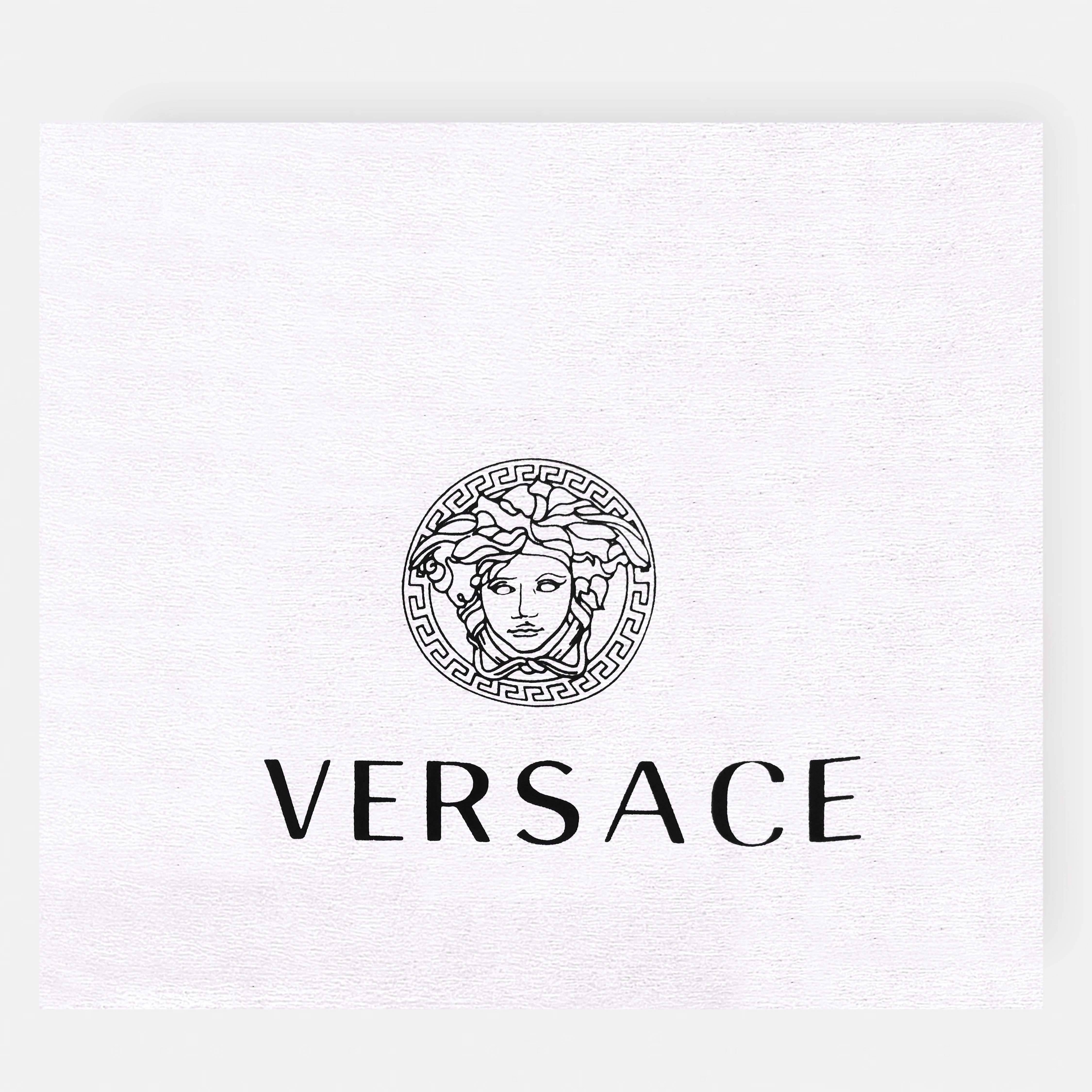 Versace-Inspired Handbag (Premium Model)
