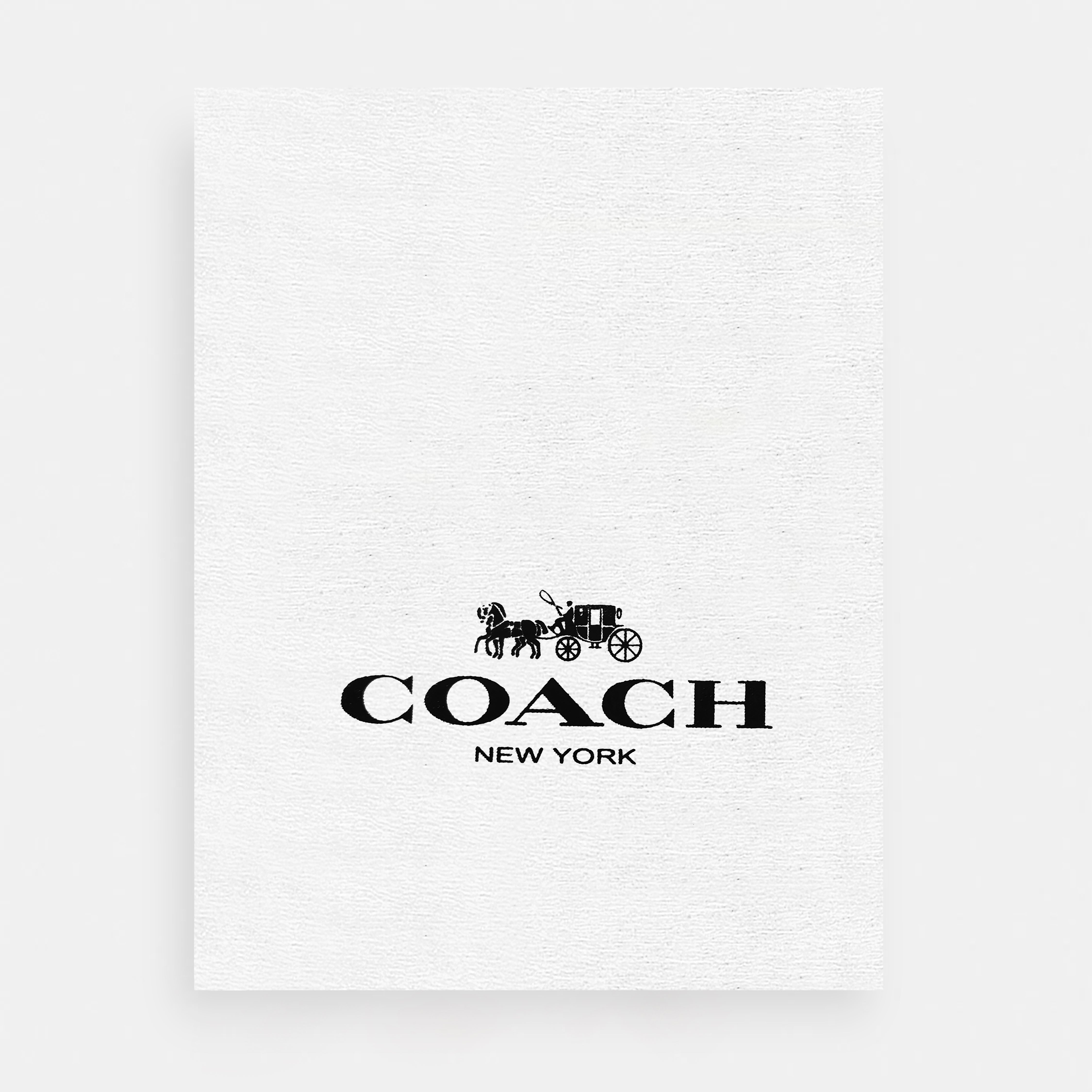 C -Inspired Signature Sling Bag (Premium Model)