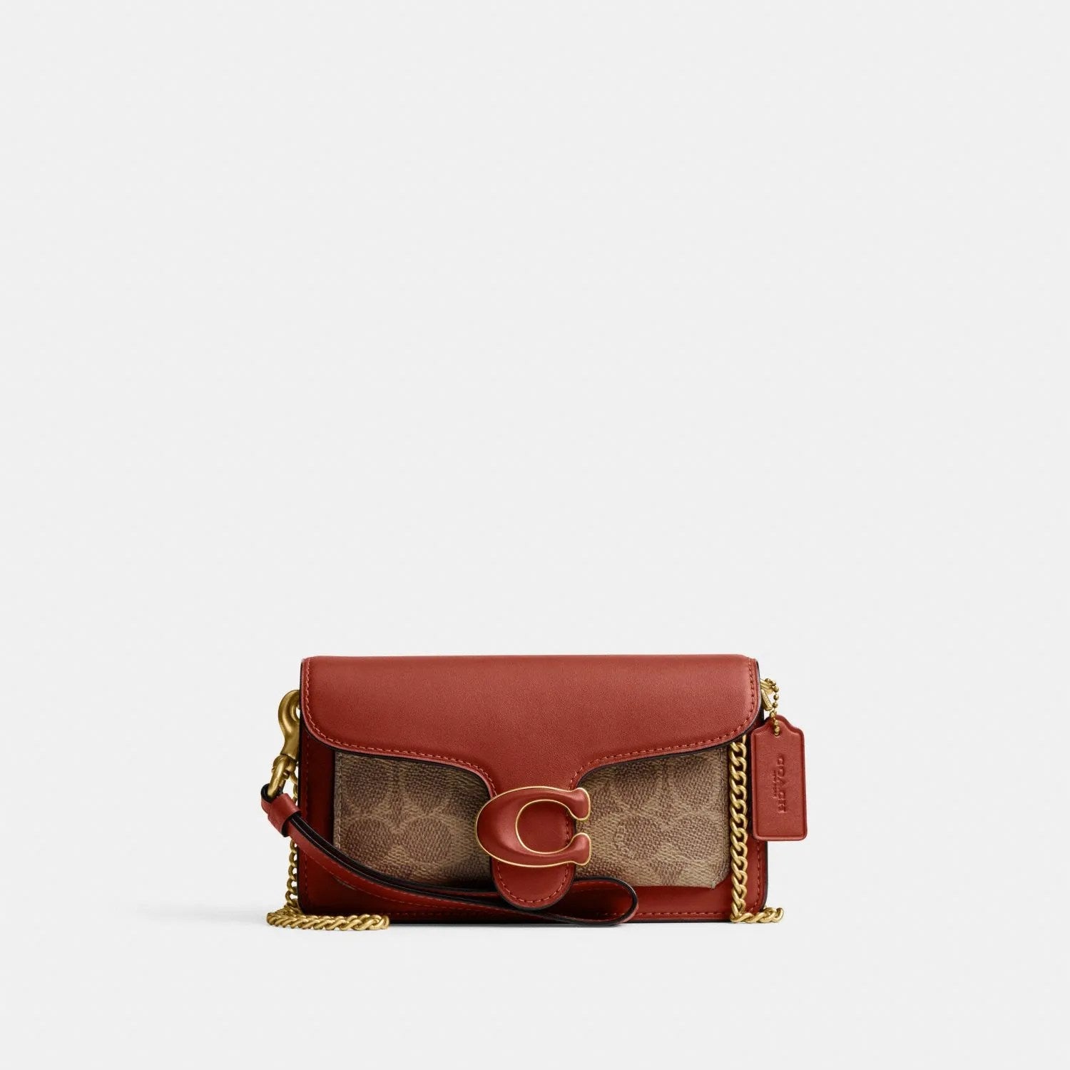 Coach Hand & sling